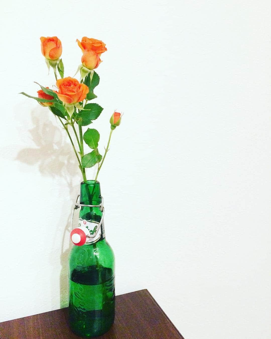 小野口奈々さんのインスタグラム写真 - (小野口奈々Instagram)「・ 今週のお花💐 ビール瓶を花瓶にしてミニバラを🌹 #今週のお花 #花のある暮らし #ミニバラ #オレンジ #スーパーで180円だった #rose #flower  #instaflower #flowerstagram」12月21日 22時02分 - nana0no