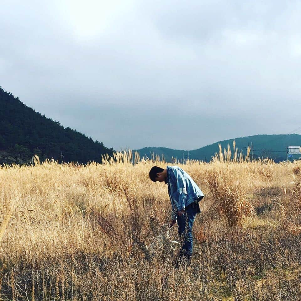 ソ・イングクさんのインスタグラム写真 - (ソ・イングクInstagram)「콘서트영상 촬영중에만난 강아지들❤️」12月21日 20時29分 - seo_cccc