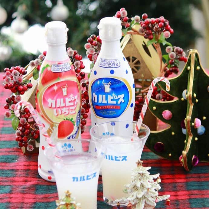 カルピス水玉通信のインスタグラム：「＼MerryX‘mas！！／ 今年のクリスマスは、「カルピス」で乾杯！するのはいかがでしょう？ 「カルピス」と一緒に楽しいひと時をお過ごしください♪ #カルピス #calpis #メリークリスマス #クリスマス #乾杯 #カルピスいちご」
