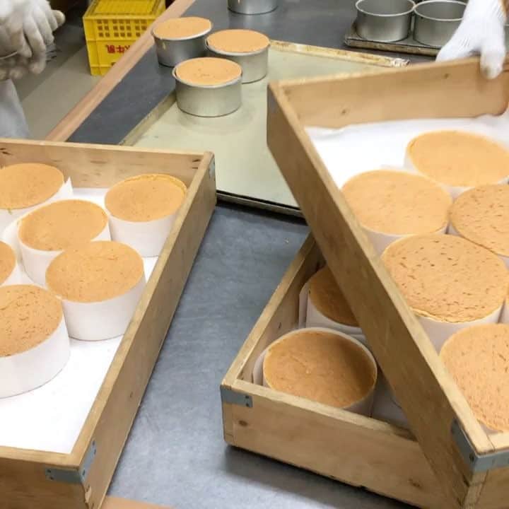 小堀紀代美のグルメインスタ