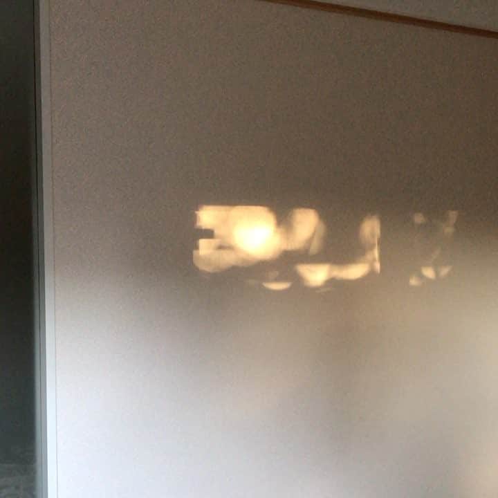 戸田昭吾のインスタグラム：「晴れた日のこの時間、西陽が寝室の壁にこんなムービーを上映してくれる。これも木漏れ日の一種かな。」
