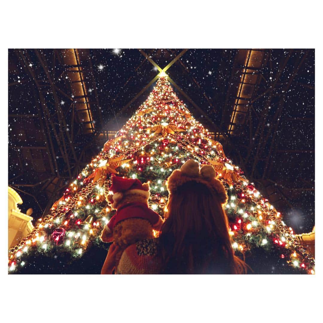 のインスタグラム：「メリークリスマスイヴ🎄💕✨ダッフィー(@duffystagram.sb )とシェリーちゃん🐻のラブラブショットをお届け🎅🏻🎁 . 今日がたくさんの人の笑顔が増える日でありますように🍀💕 . #tdl #tokyodisneyland #Disney #Xmas #Christmas #love #happy #duffy #ディズニー #東京ディズニーランド #ダッフィー #クリスマス #クリスマスイヴ #カメラ女子 #カメラ好きな人と繋がりたい」