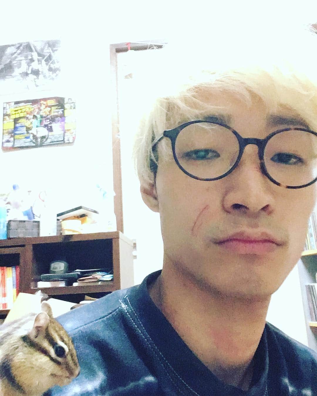 山田健人さんのインスタグラム写真 - (山田健人Instagram)「レイが顔面突っ込んできた。 えぇ28歳過ごせそうですわ。 #シマリス」12月24日 1時34分 - runnykento