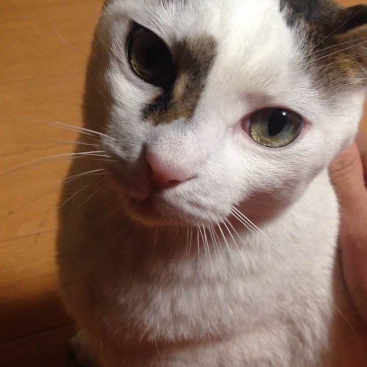 鵜飼孝治のインスタグラム