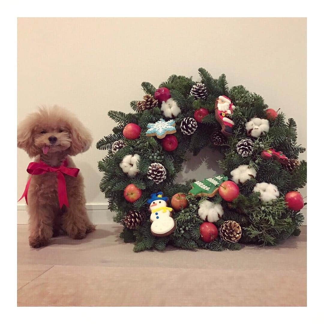 深田恭子のインスタグラム：「⭐︎︎Merry Christmas 🎄 皆様にとって素敵な日になります様に...🎅❤️ こんな可愛い状況でこの顔...😳 前はいいお顔上手に出来たよね😅? #MelonChristmasEve #kyokofukada」