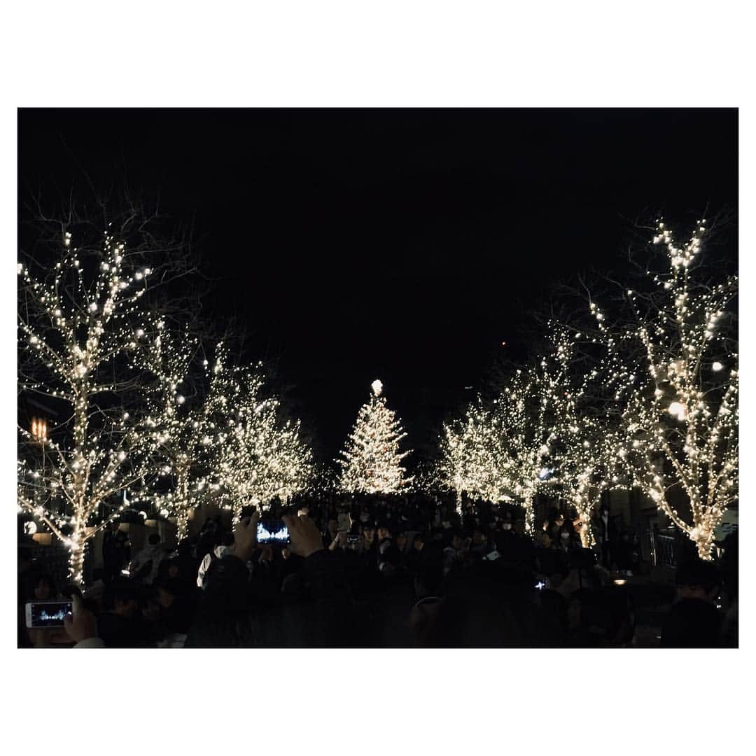 大島優子さんのインスタグラム写真 - (大島優子Instagram)「✨🎄❤️🎄✨」12月24日 17時00分 - yuk00shima