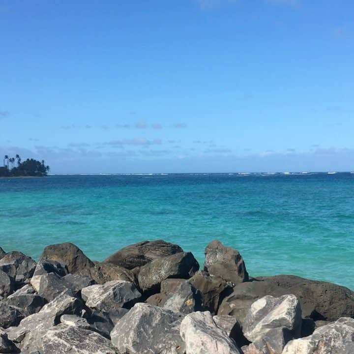 sayoのインスタグラム：「Drive in Hawaii♡ How beautiful... #hawaii #drive #christmas #beautiful #sea #sky #wind #holiday #blue #love」