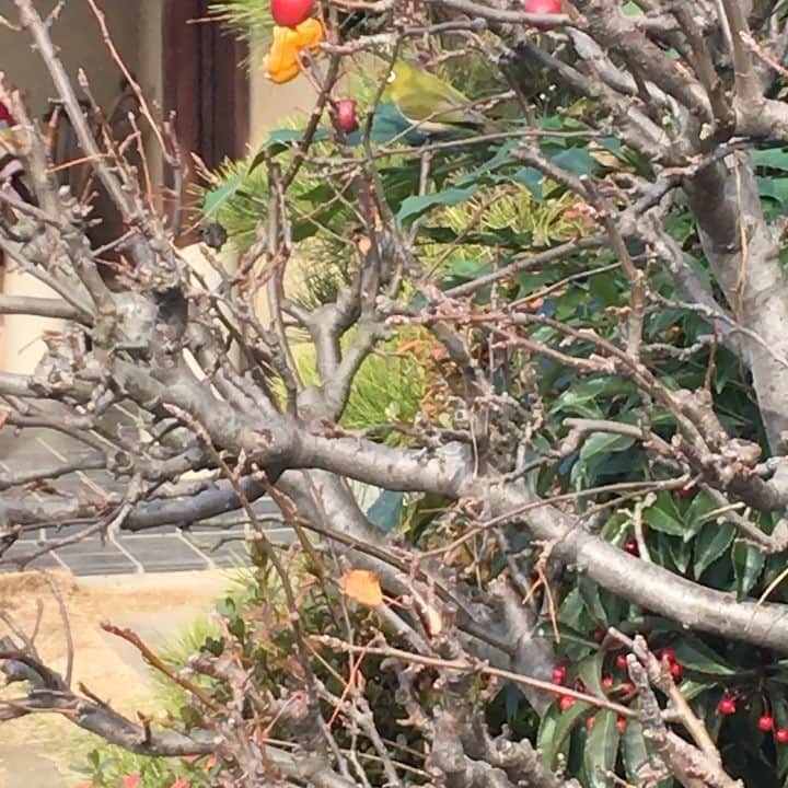 河野太郎のインスタグラム