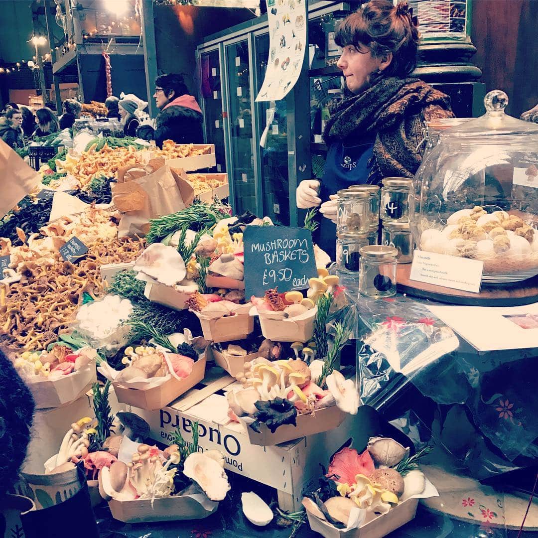MEGのインスタグラム：「年末感 🍄🍄🍄」