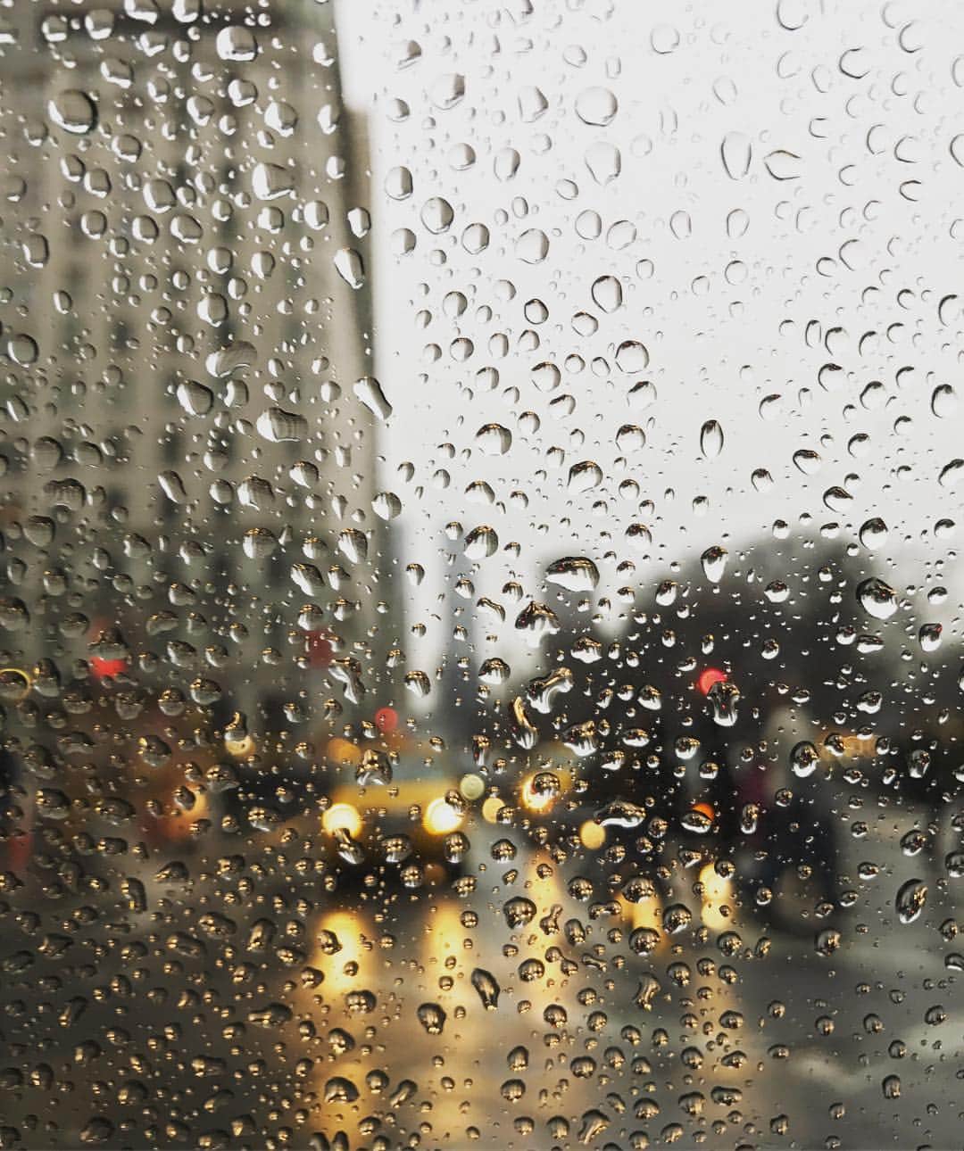 ザック・フリードマンさんのインスタグラム写真 - (ザック・フリードマンInstagram)「During the Rain」12月27日 5時11分 - lyricyst