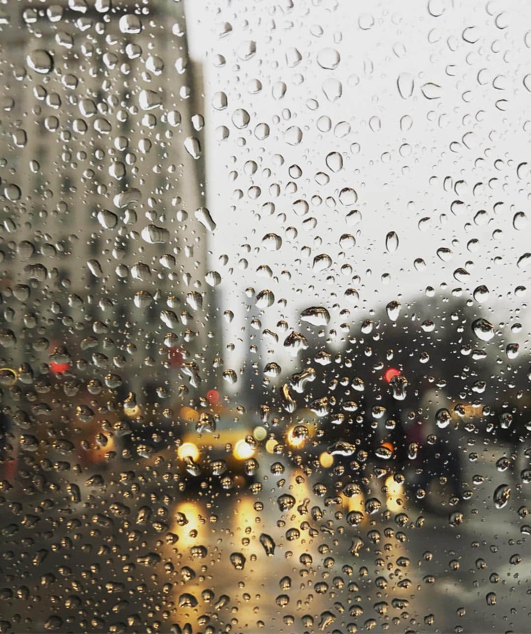 ザック・フリードマンのインスタグラム：「During the Rain」