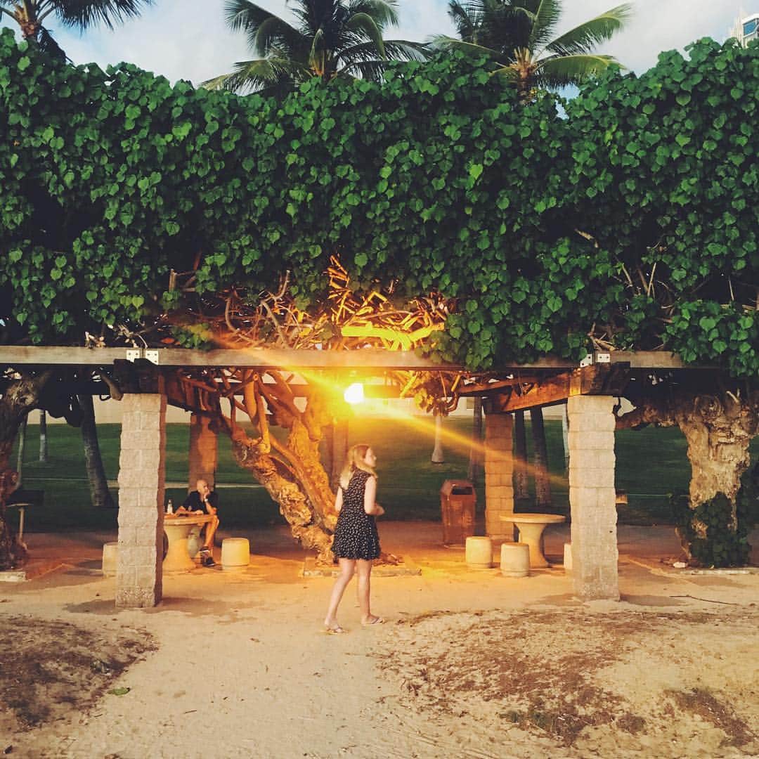 #RINKAgramHawaiiのインスタグラム：「太陽の光のその先へ。  #rinkagramhawaii #rinkagram #sunset」