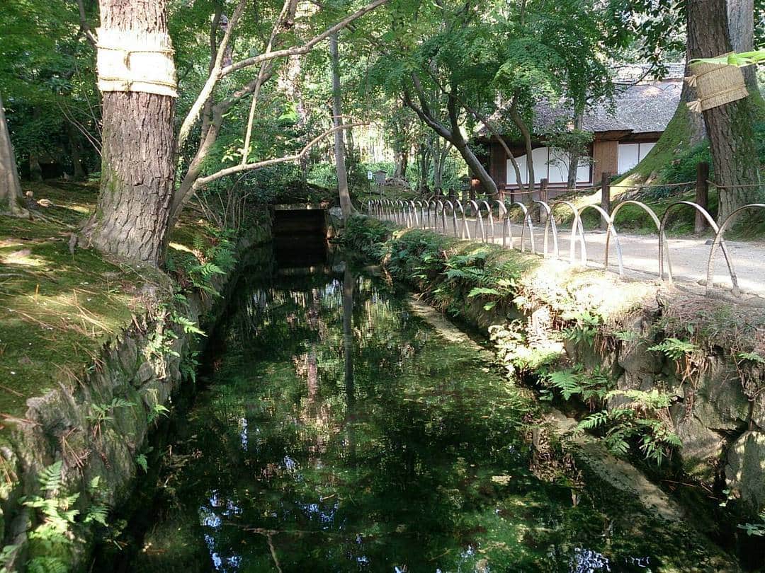 Omoray Omorayのインスタグラム：「#omoray  #文化#calture#美観地区 #倉敷#kurashiki #岡山#okayama #クラシキ文華 #クラシキブンカ #japan #japantrip #travel #trip #後楽園」