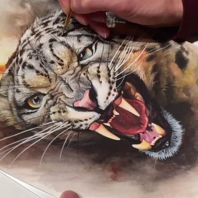 Art Collective Magazineのインスタグラム：「Amazing #wip (work in progress) watercolor painting by @turyanskiy #snowleopard #artcollectivemag」