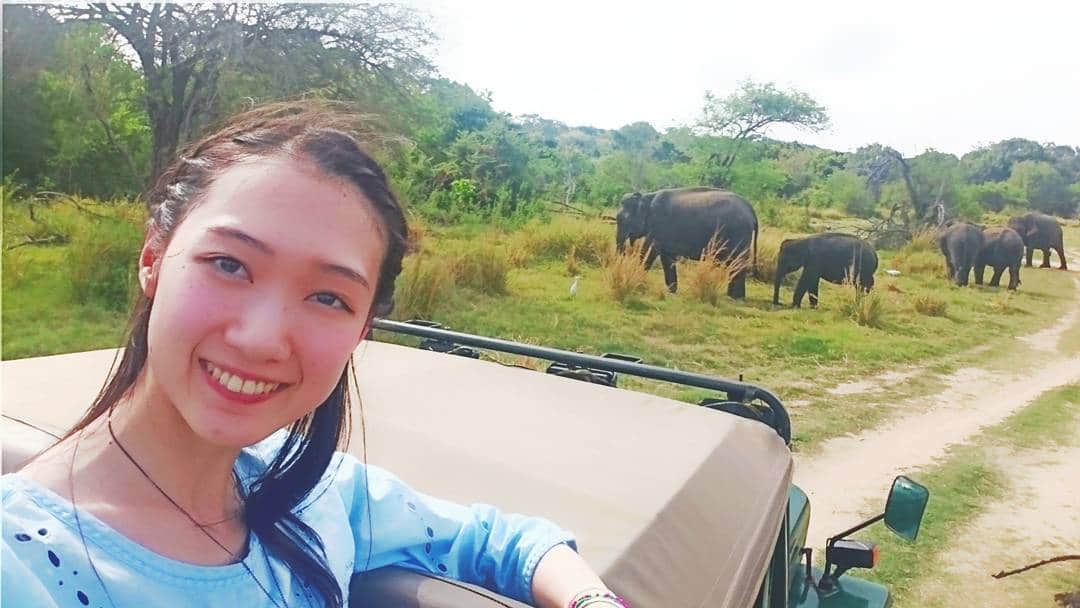 水木彩也子のインスタグラム：「✈ スリランカ編いきますー(*^^*) . ミンネリア国立公園で出会った象達！ ひろーい場所でのびのび生きている象達の姿に感動しました。 ジープサファリで、屋根から顔を出して風を感じられたのも気持ちがよかったなぁー♪ . 子供の象の可愛さにはノックアウトされました(*´ω｀*) . #スリランカ #srilanka #ミンネリア国立公園 #minneriya #象 #elephant #旅サラダ #旅 #trip #travel」