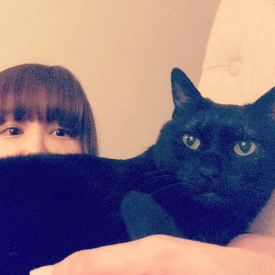 MEGのインスタグラム：「本日のイケメン。おはようございます。#ボス #黒猫 #blackcat」