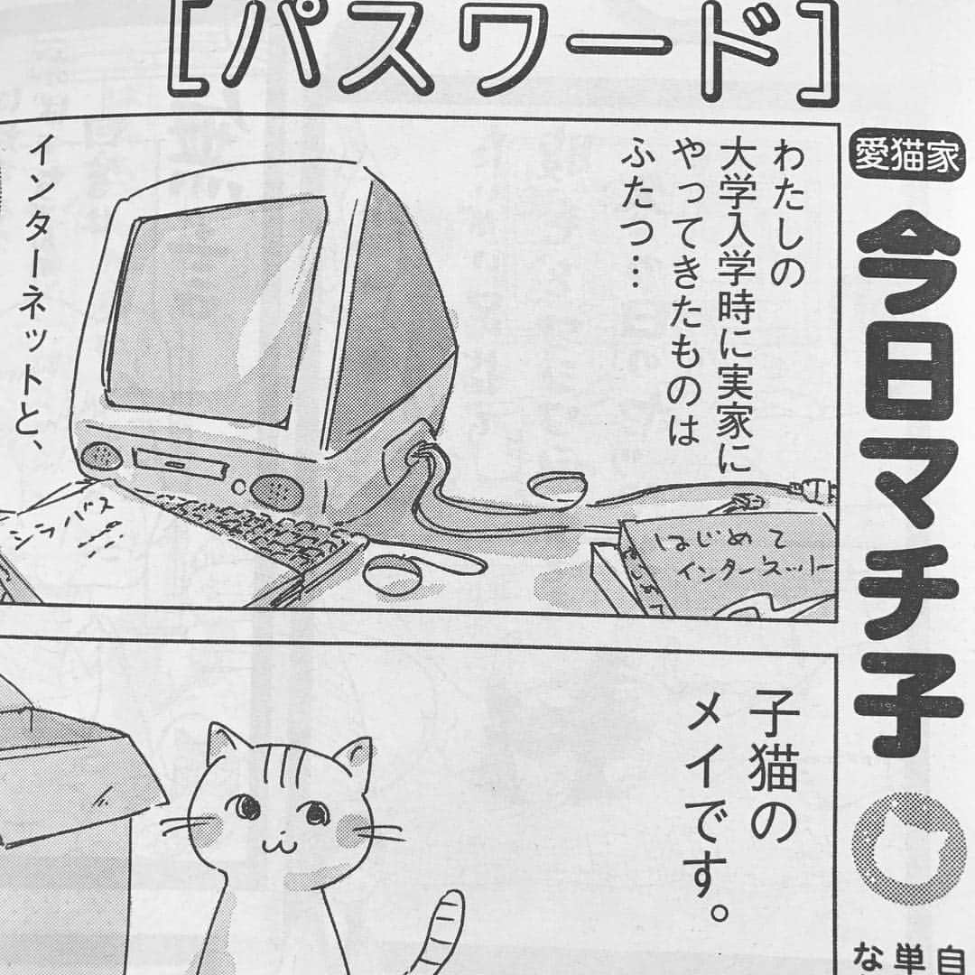 今日マチ子のインスタグラム：「発売中のスピリッツに猫の思い出マンガを描き下ろしてます。「もういない猫の名前がパスワードの中に生き続けている」」