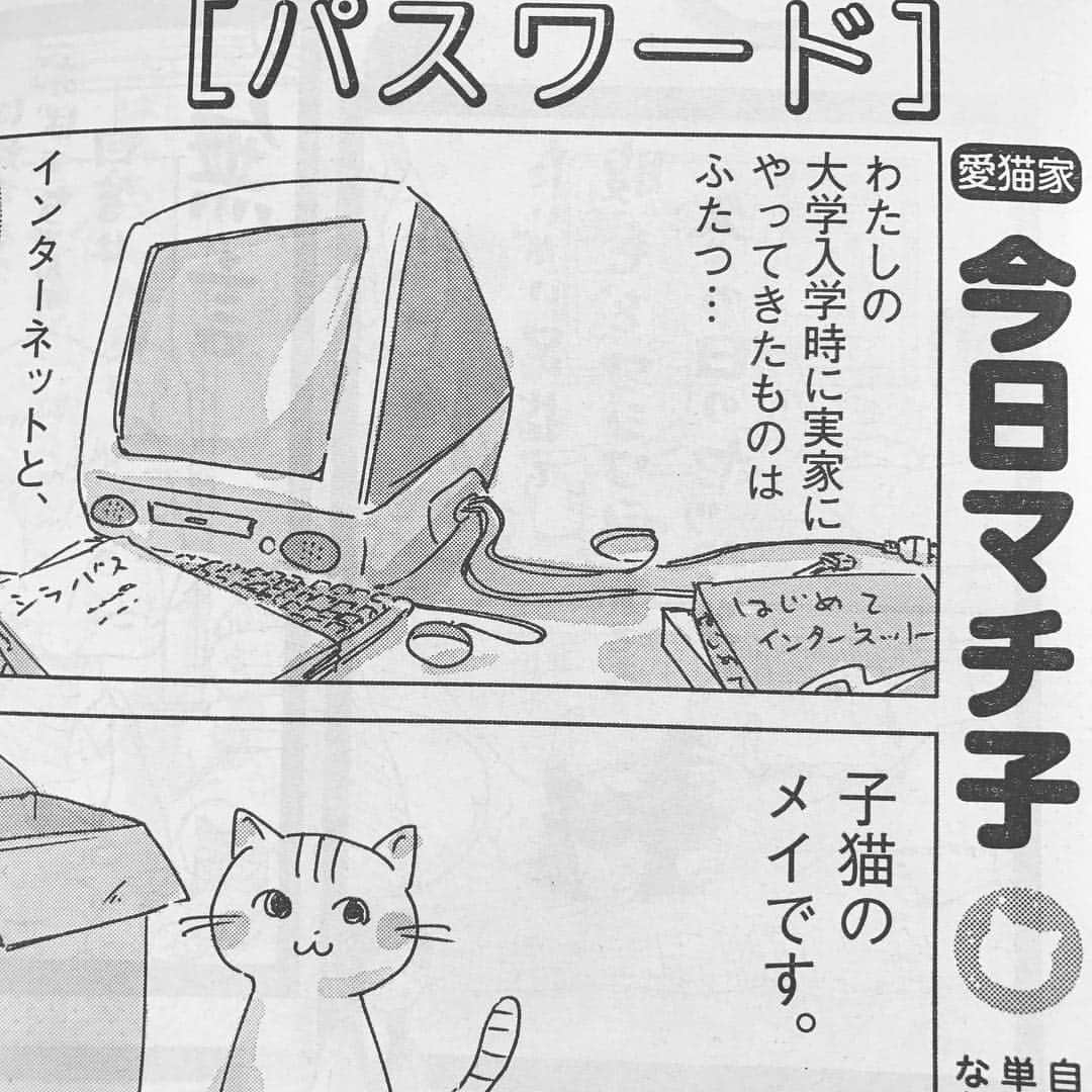 のインスタグラム：「発売中のスピリッツに猫の思い出マンガを描き下ろしてます。「もういない猫の名前がパスワードの中に生き続けている」」