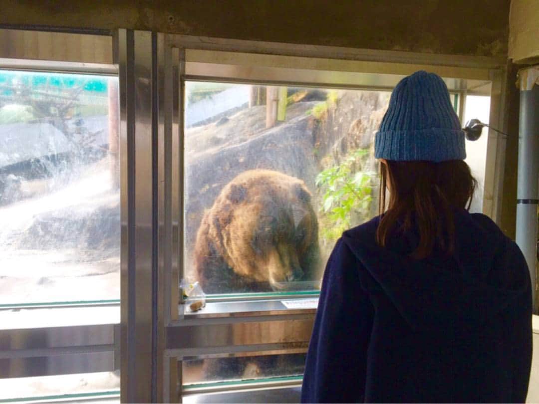 のインスタグラム：「クマとご対面🐻 思ってたより大きくてたくさんのクマがいました。 エサもあげられます。  #クマ #クマに対して動じない飛鳥さん #潮騒 #齋藤飛鳥」