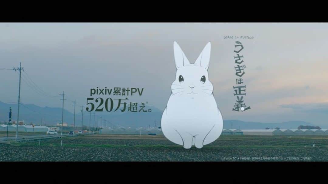pixivのインスタグラム：「#pixivコミック のTVCM 🍵📺全国で、オンエア開始📺🍵 . #きみの好きがここにある . #うさぎは正義 #うさぎ彼女  #ぽぽたむさまのマフマフには敵わない!!! の 作者、 #井口病院 先生がCMに出演✨ . WEB限定バージョン＆全TVCMはいますぐ 【pixivコミック 】で検索♡ #pixiv」