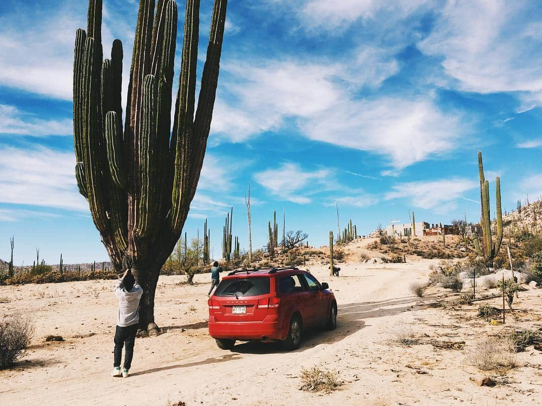 山川春奈さんのインスタグラム写真 - (山川春奈Instagram)「人に対してのサボテンのサイズ感w 🌵🌵🌵 #mexico #catavina #サボテン #砂漠」12月30日 6時38分 - anurah0511