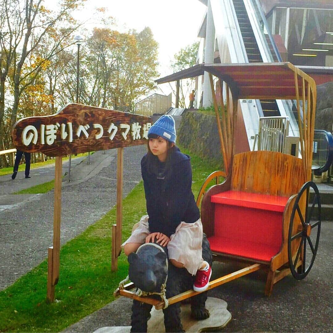 のインスタグラム：「飛鳥さん！小熊のほうに乗るんですか？！？ #こぐま #あしゅの小ささもこぐま並 #潮騒」