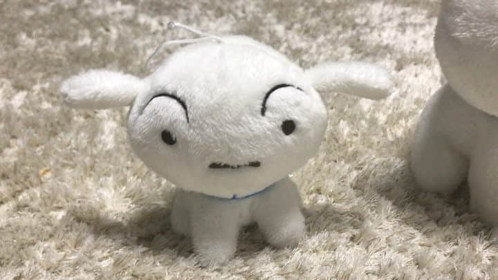 イ・ジェウォンのインスタグラム：「. 흰둥이123 ❤️#구름이」