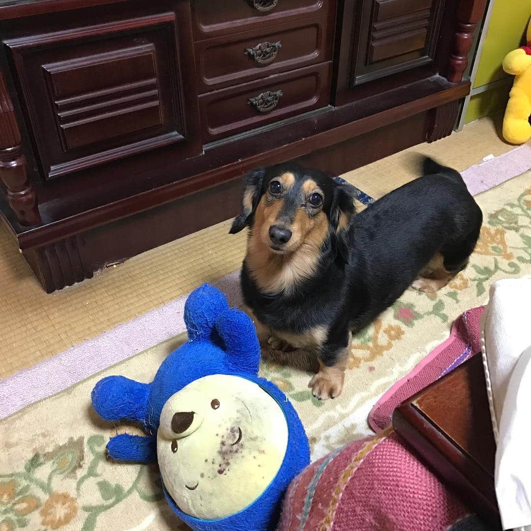 野村祐輔のインスタグラム：「元気にしてました^_^久しぶりに会えて癒されました😆」
