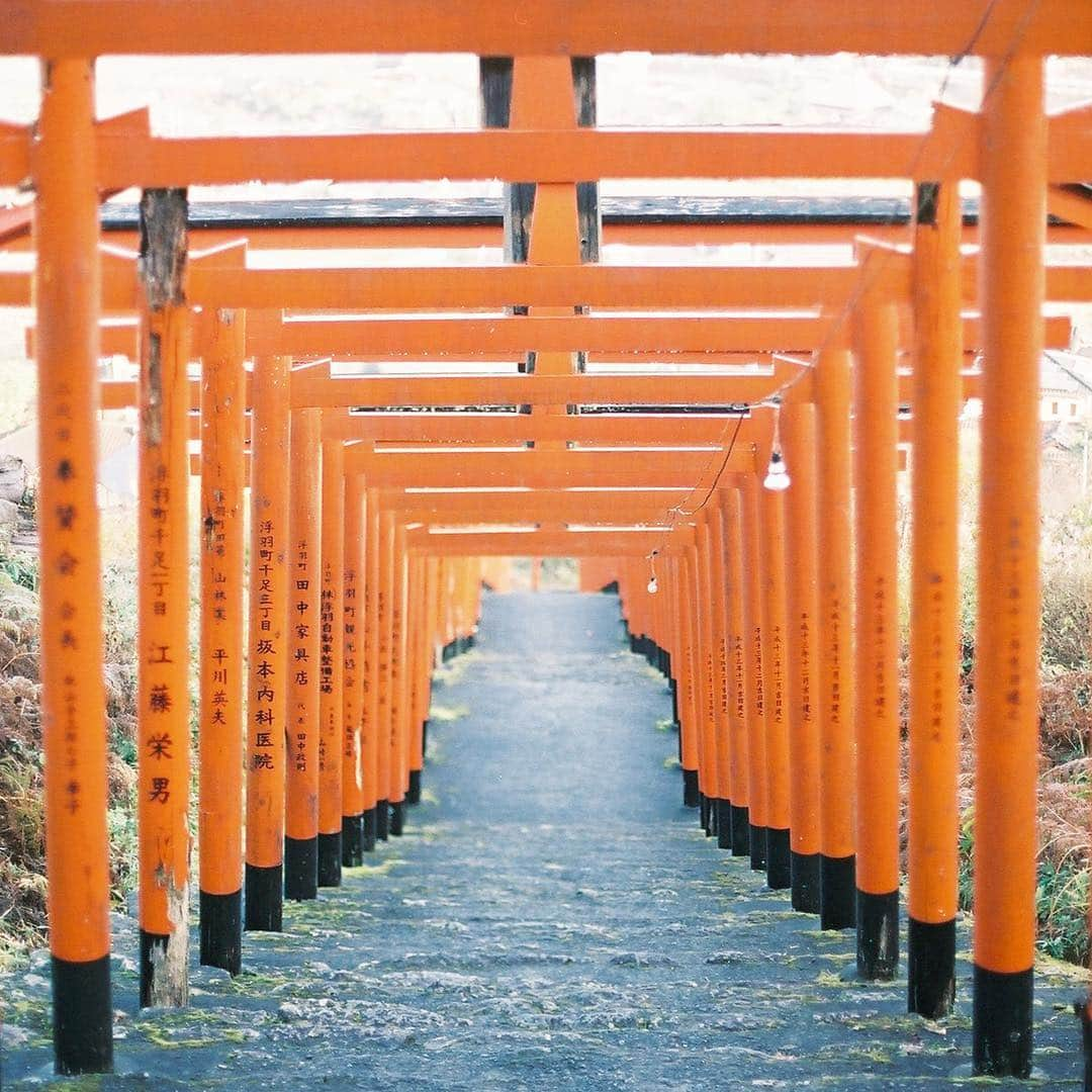 kのインスタグラム：「#浮羽稲荷神社 #赤い鳥居  #うきは #うきは市 #吉井町 #浮羽 #福岡 #うきはライフ #fukuoka #ukiha #ukihalife」