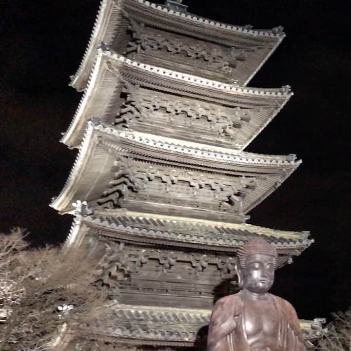 奈々子のインスタグラム：「あけましておめでとうございます☆ 昨夜は一足お先に30分だけのプチ帰省、地元のお寺にて日本の年末っぽく第9の合唱へ♪ 今年も宜しくお願い致します♡⃛ . #ベートーベン #第九 #第九合唱 #名古屋 #大晦日の醍醐味 #日本の年末 #一瞬帰省 #実家は改めて #とりあえず第九だけ来た #Beethoven #no9 #newyeareve」