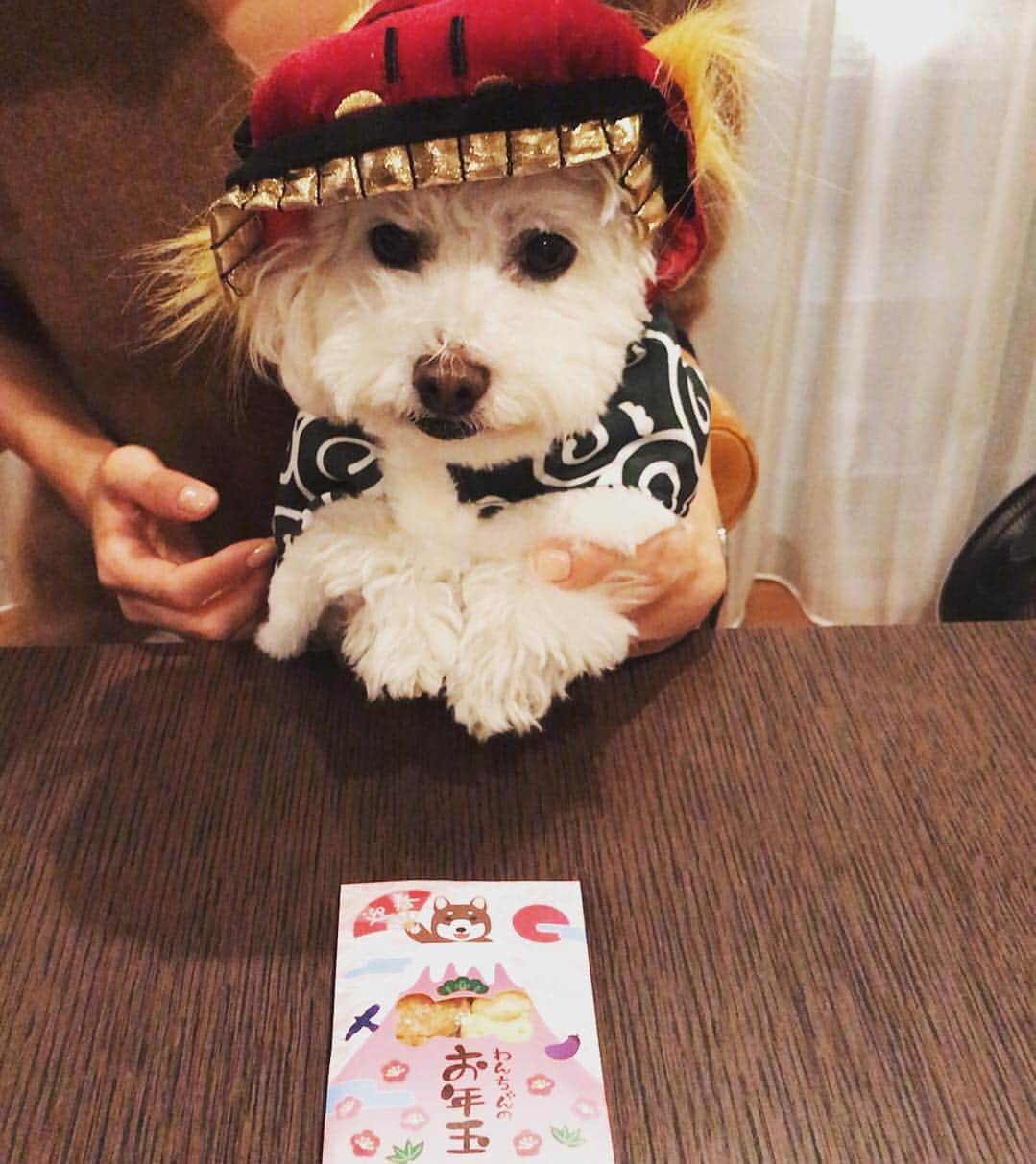 相武紗季のインスタグラム：「2017年もよろしくお願いいたします😊 お年玉もらえていいなあ🐔✨」