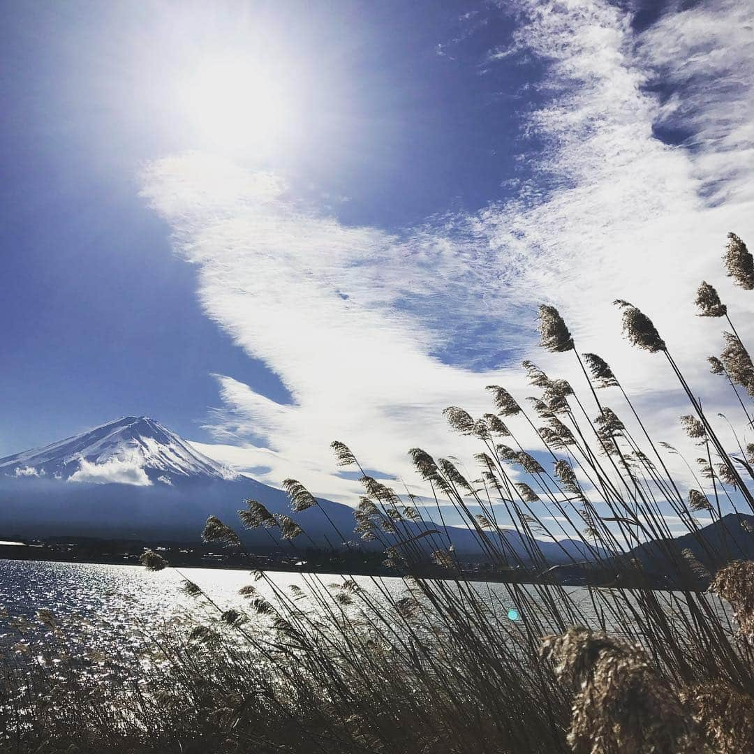 松田龍平さんのインスタグラム写真 - (松田龍平Instagram)「明けましておめでとうございます 本年も宜しくお願いします」1月2日 14時06分 - ryuheimatsuda