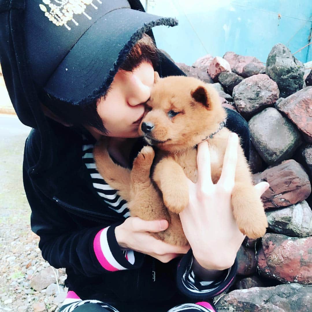 松久楓さんのインスタグラム写真 - (松久楓Instagram)「子犬ってなんでこんなに可愛いのだろう😚」1月2日 17時20分 - kaede_matsuhisa