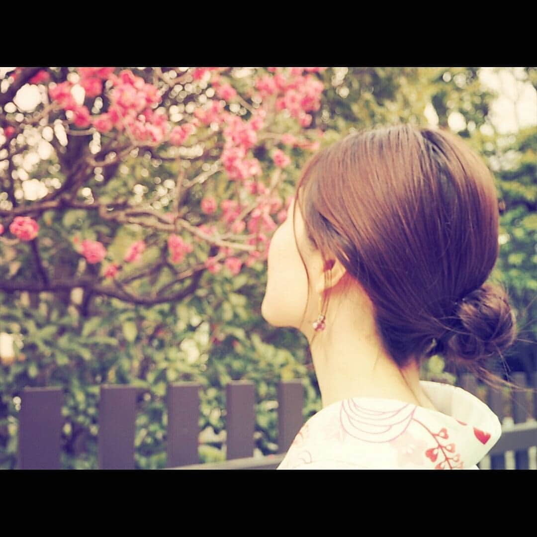 石川翔子さんのインスタグラム写真 - (石川翔子Instagram)「気付けば梅の季節。#浅草 #浅草寺」2月1日 23時49分 - kuropeppa