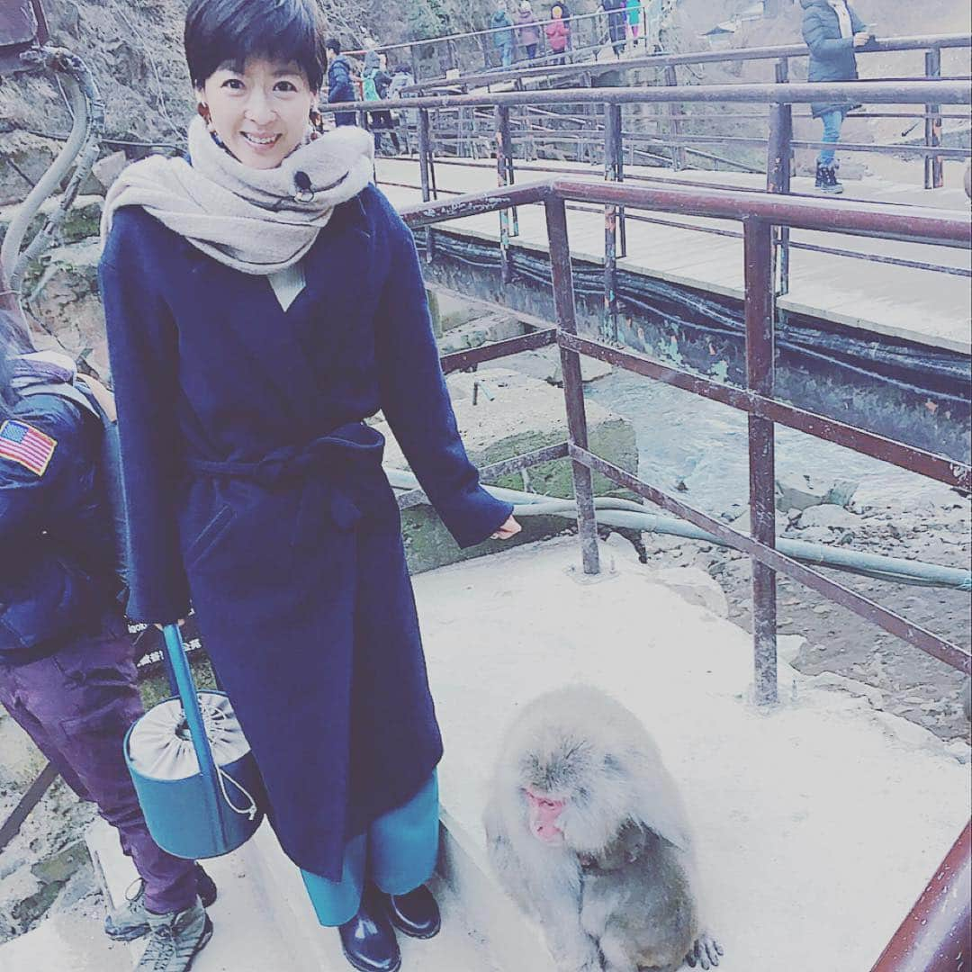 中山忍さんのインスタグラム写真 - (中山忍Instagram)「クチコミ新発見！旅ぷらを見てくださったみなさま☆ ありがとうございました☺︎◎ 今回も楽しい旅でした🎵  冬毛の子猿！ もふもふで可愛かったなぁ♡  #読売テレビ #クチコミ新発見！旅ぷら #志賀高原#地獄谷野猿公苑 #スノーモンキー#もふもふ」1月29日 11時40分 - _shinobu_nakayama_