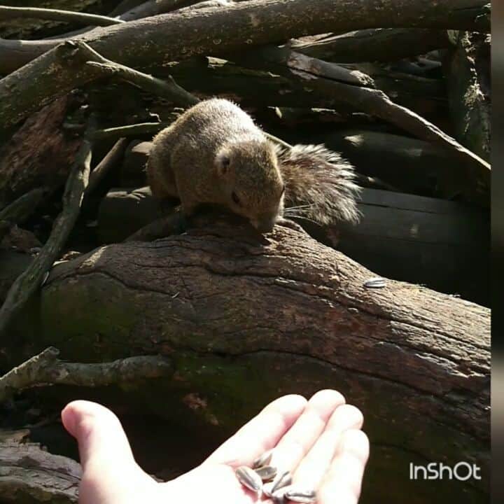 naoyou2006のグルメインスタ