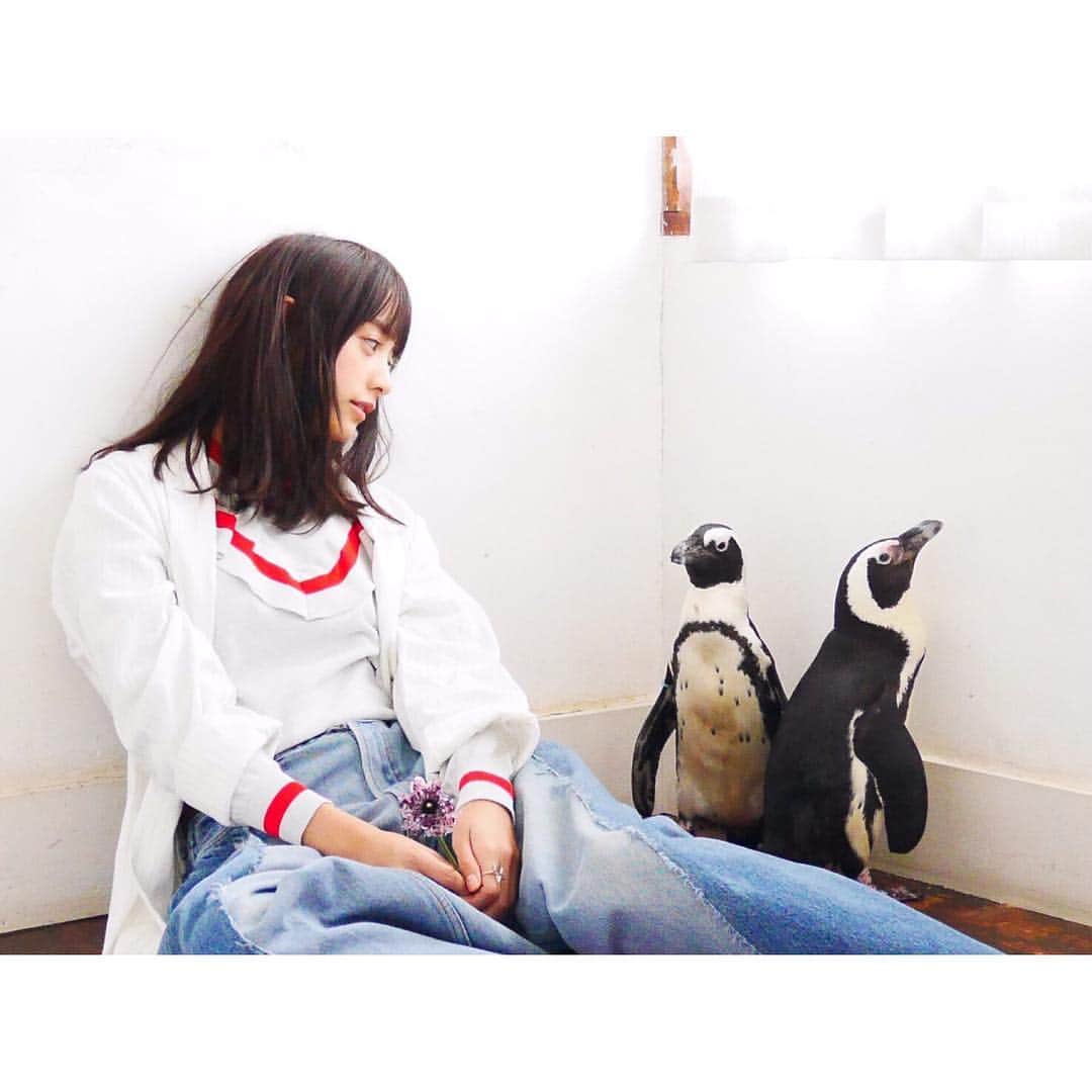 山本美月さんのインスタグラム写真 - (山本美月Instagram)「今月の、✩月刊山本美月✩は、 ペンギンさんと撮影しました♪♪ ほっこりした世界観です。 是非ご覧ください。  #月刊山本美月 #CanCam」1月30日 11時47分 - mizuki_yamamoto_official