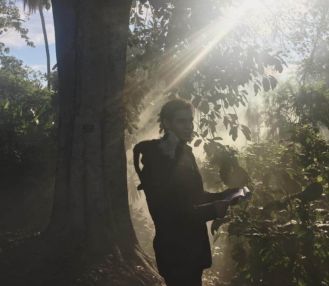 エリス・ガベルさんのインスタグラム写真 - (エリス・ガベルInstagram)「LEAF MY MONKEY ALONE #arboretum」1月31日 1時49分 - elyesgabel