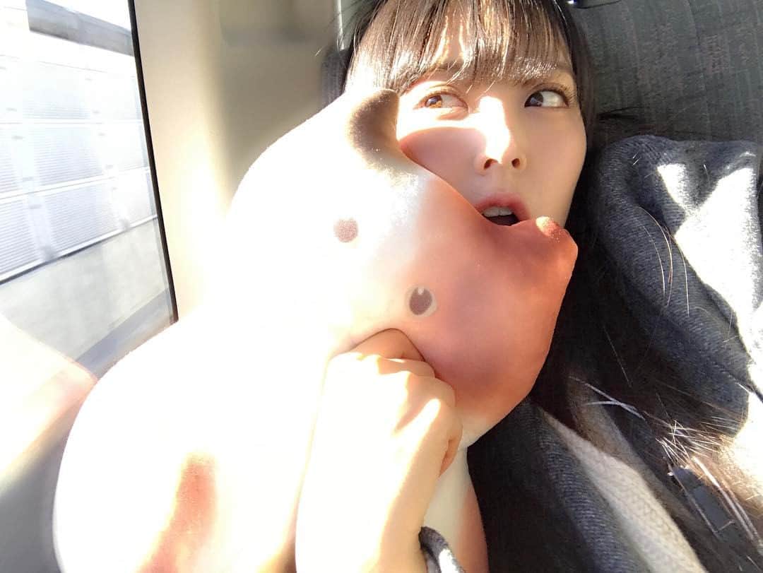 白間美瑠さんのインスタグラム写真 - (白間美瑠Instagram)「移動中〜🚗💨💨 後ろの席に、ネコさんいた🐈」1月31日 13時09分 - shiro36run