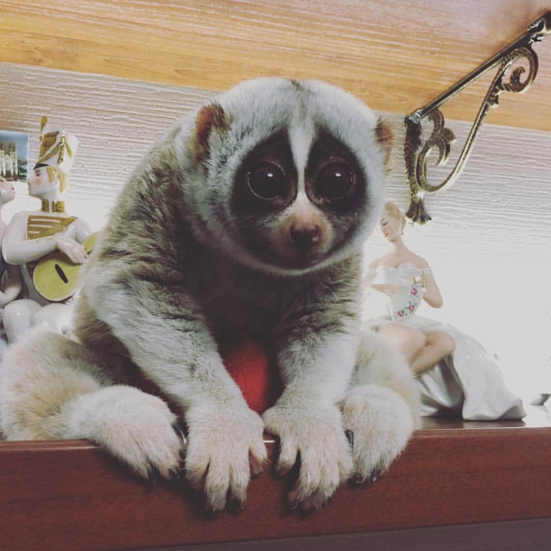 Saraのインスタグラム：「Статуэточка🖤」