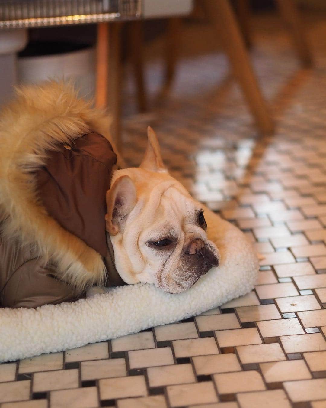 大橋菜央のグルメインスタ