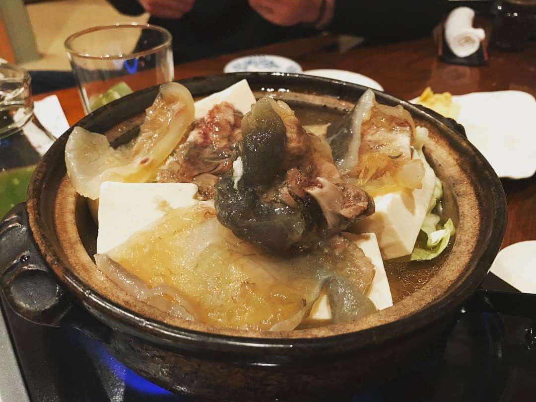 吉田愛璃のインスタグラム：「こんな美味しいすっぽん屋さんが千葉にあったなんて...♡ あ、ハッピーニューイヤー♡笑 ＃ともゑ」