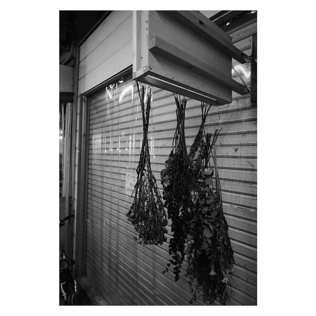 志磨遼平さんのインスタグラム写真 - (志磨遼平Instagram)「正月の花屋。」1月11日 15時30分 - ryohei_shima_thedresscodes