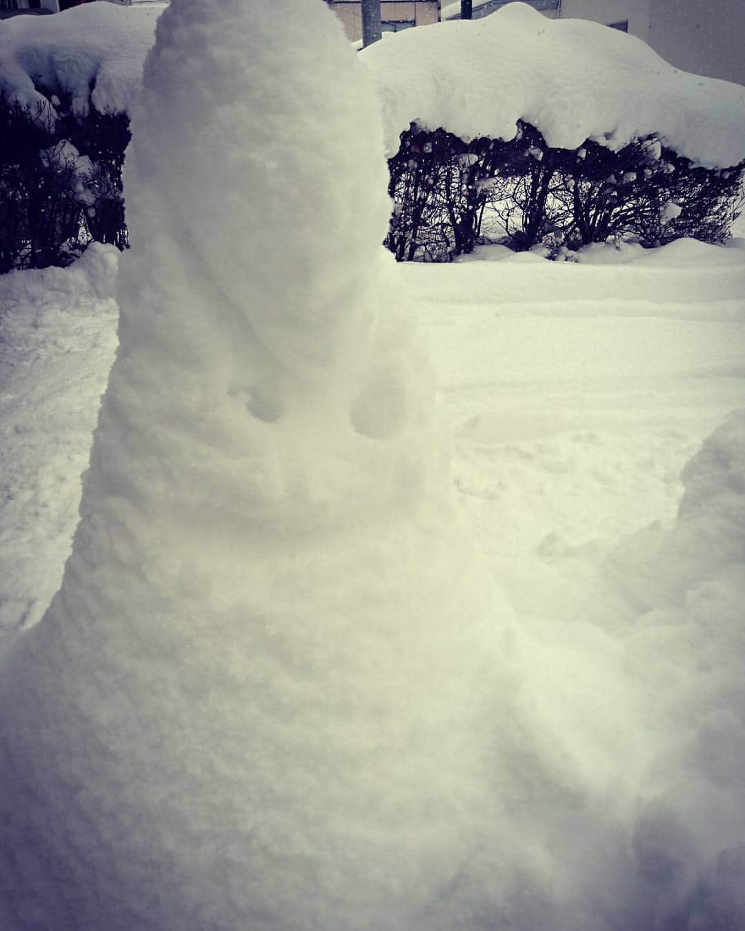 松本ヨシロウさんのインスタグラム写真 - (松本ヨシロウInstagram)「三角コーンに雪が積もってこの状態w」1月13日 11時34分 - kichirosan