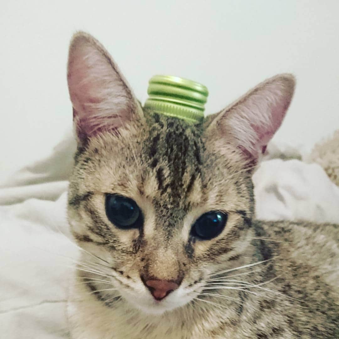 タイタンのインスタグラム：「#style」