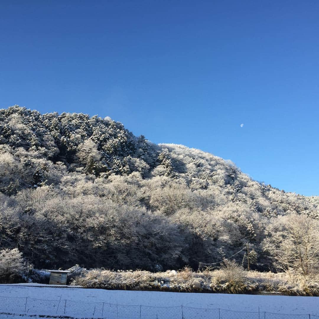 幌村尚のインスタグラム：「今日の朝 綺麗でした✨ 最近寒い。。でも楽しい。。 #雪 #田舎」