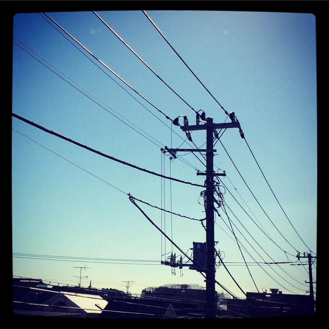 一色徳保さんのインスタグラム写真 - (一色徳保Instagram)「1月17日火曜日 晴れ おはよう。」1月17日 11時23分 - noriyasuisshiki