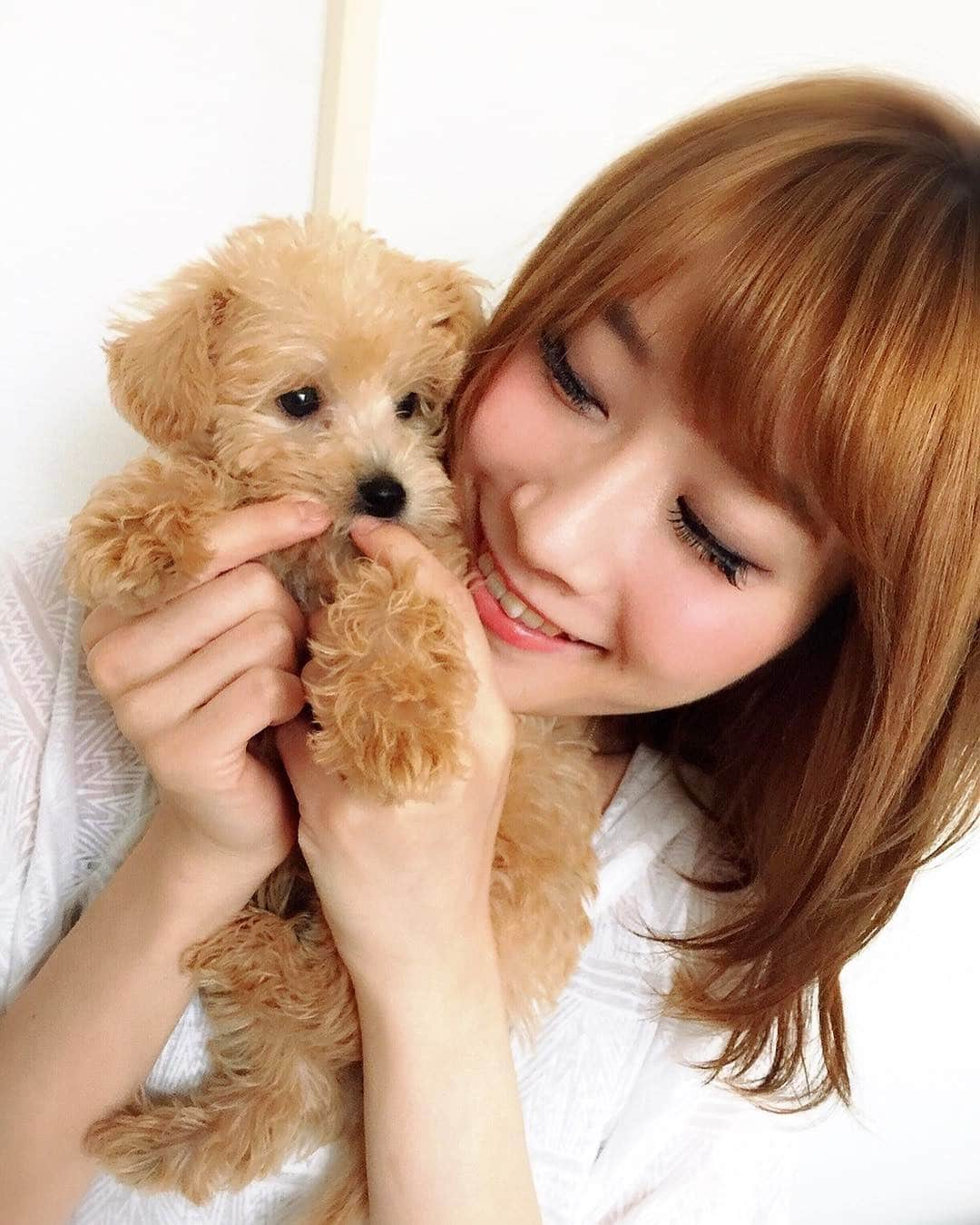 TONEAYUさんのインスタグラム写真 - (TONEAYUInstagram)「この時は仲良かったシリーズ🐶🍥🍼 #ぷー吉 #mix #トイプードル #ウェスティー #ウェスプー #ラーメン頭 #mixdog #mix犬 #terrier #instadog #puppy #baby #xoxo #followme」1月18日 0時42分 - toneayu