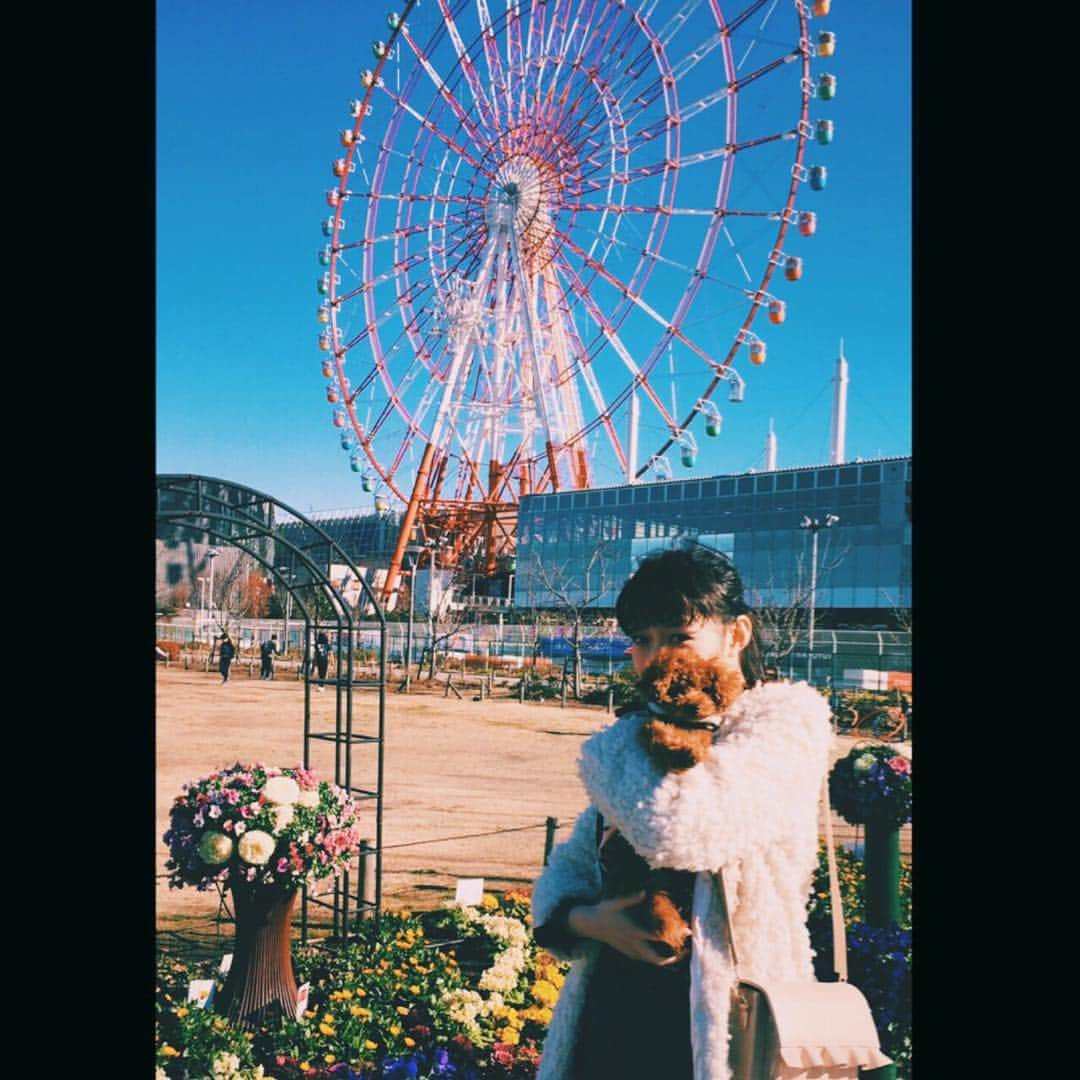 松野莉奈のインスタグラム：「ジャスミンとお台場に🐾  #お出かけ 🌹 #お台場 #初ドックランで遊んだよ 💓 #ジャスミン #トイプードル 🐩」