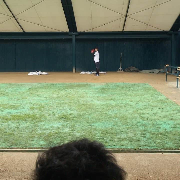 のインスタグラム：「田島投手。審判目線から👀ええ球や〜。今年も期待できそうですね♪」